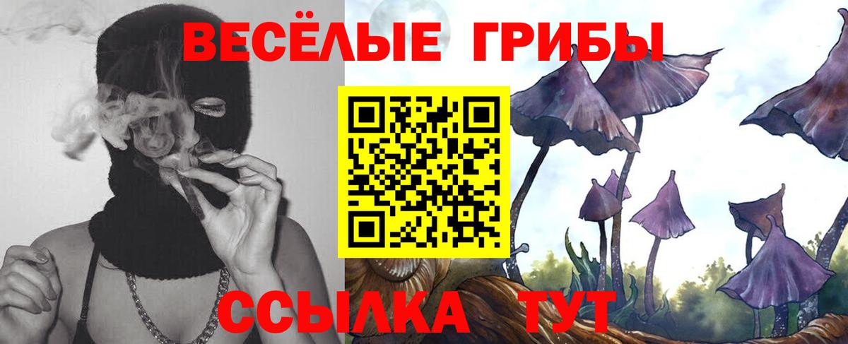 Ханты-Мансийск  наркота  Вход с VPN  Галлюциногенные грибы Psilocybine cubensis 